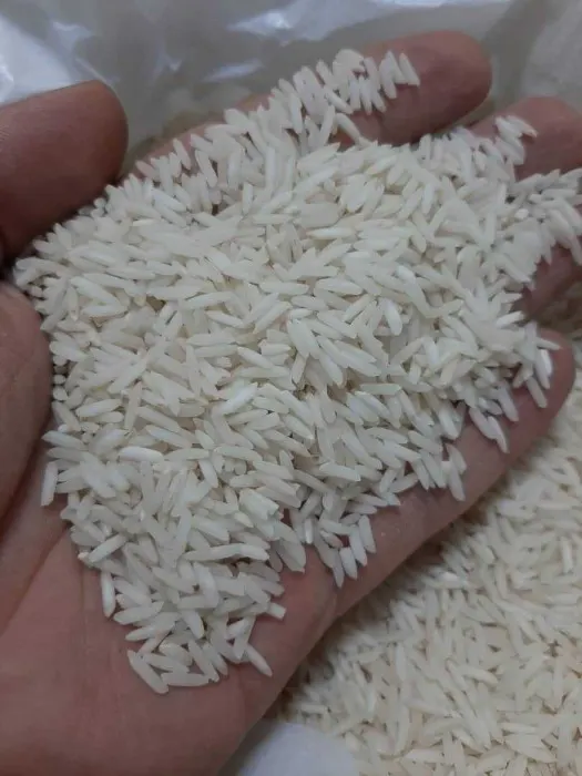 برنج دمسیاه گیلان